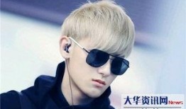 黄子韬家世爆料视频,豪门背景曝光，揭秘明星背后的故事